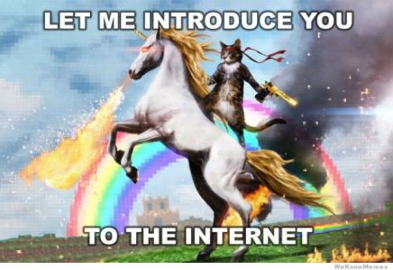 Image from: http://weknowmemes.com/2012/10/let-me-introduce-you-to-the-internet/ (How am I only finding this image now? I will be using this at the start of all my future talks on my research!) 